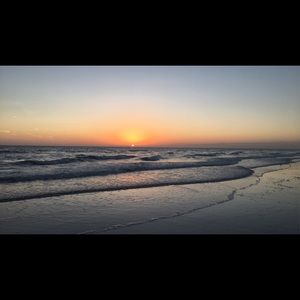 Meet your Posher, Ellie